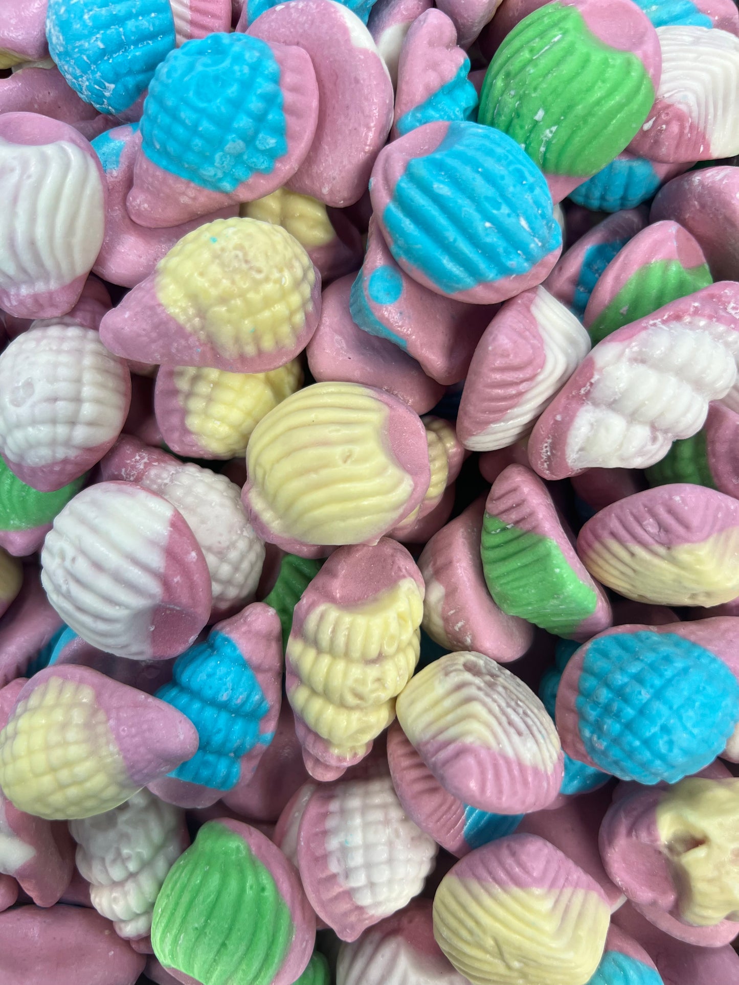 Sea Shells (100g)