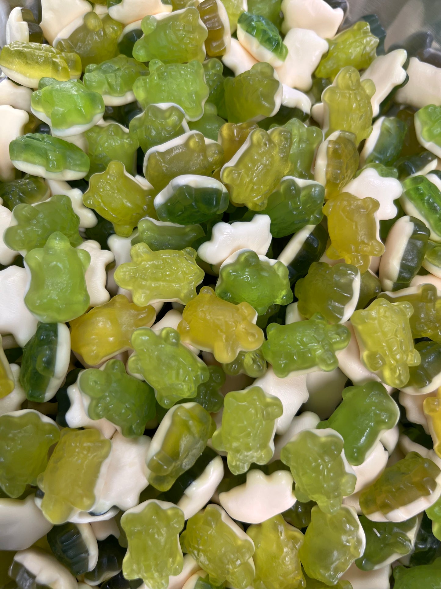 Terrific Turtles (100g)